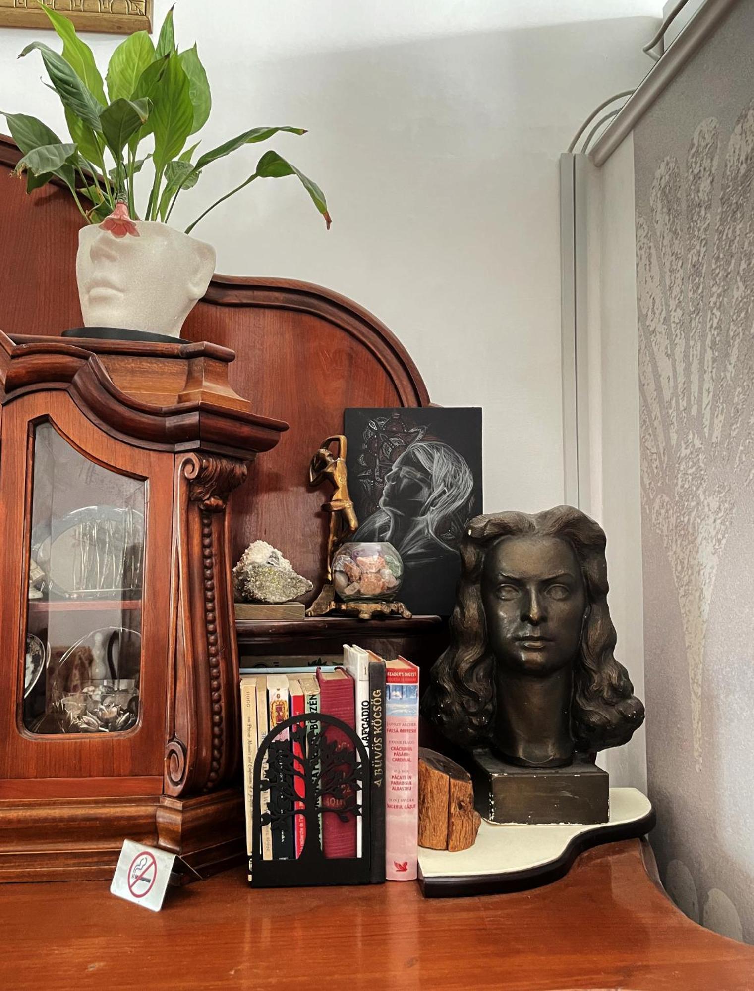Hestia Lux Apartment Cluj-Napoca